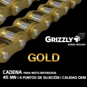 CADENA GOLD ORING.jpg